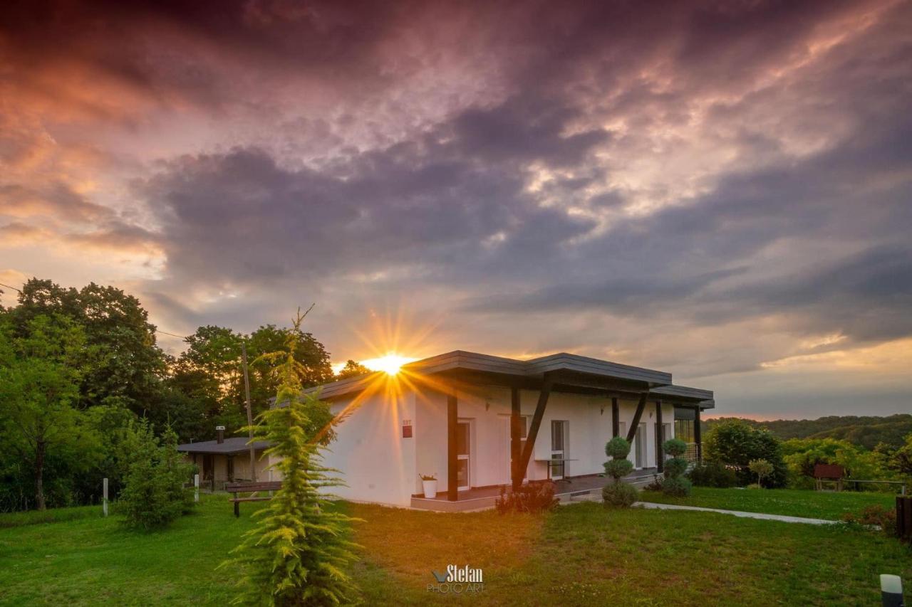 Kuce Za Odmor -Japin Breg Villa Thurdevac ภายนอก รูปภาพ