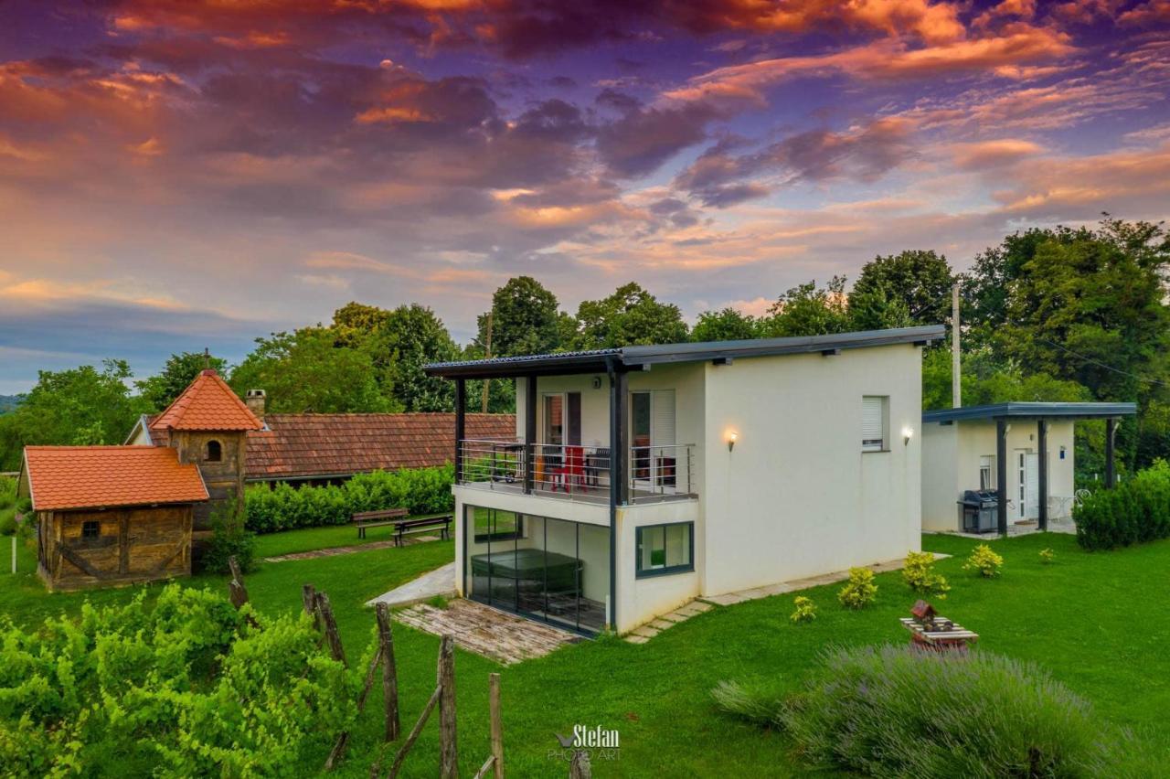 Kuce Za Odmor -Japin Breg Villa Thurdevac ภายนอก รูปภาพ