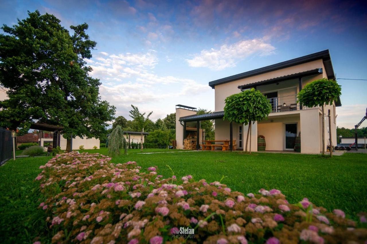 Kuce Za Odmor -Japin Breg Villa Thurdevac ภายนอก รูปภาพ