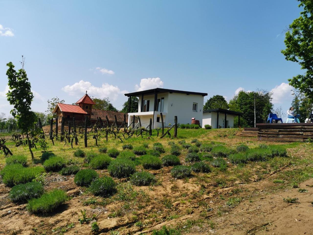 Kuce Za Odmor -Japin Breg Villa Thurdevac ภายนอก รูปภาพ
